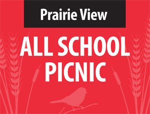 all-school-picnic